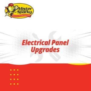 Electrical Panel Upgrades.